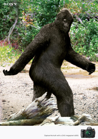 File:Bigfoot.jpg