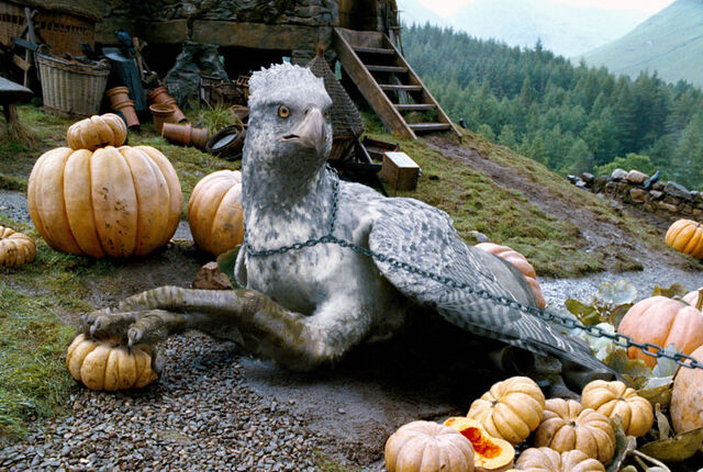 File:Hippogriff2.jpg