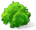 Bush