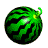 YS Watermelon