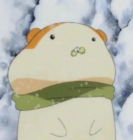 Datei:Hamu Hamu.jpg