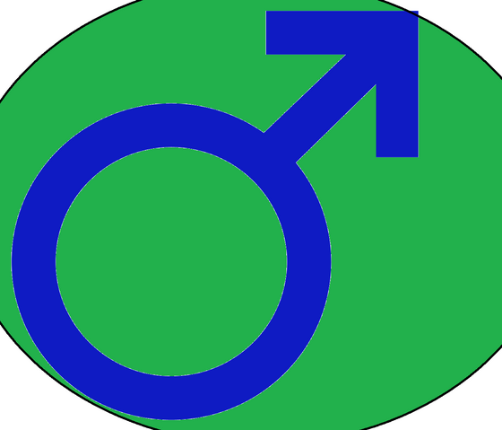 Plik:Logo Chłopaków.png