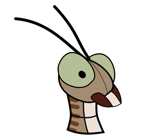 File:Krani Head Desert Smal.png
