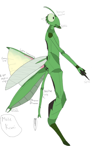 File:Krani.png