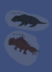 1429572224.mrsparta otters