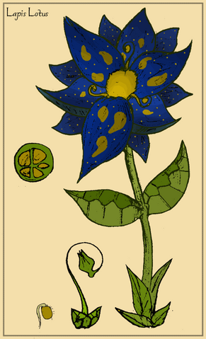 File:Lapis Lotus.png
