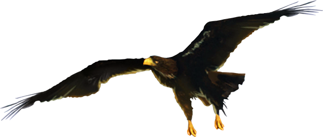 File:Eag.png