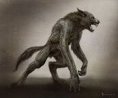 Caspian-werewolf-artwork