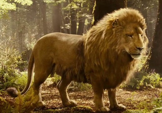 Plik:518px-Aslan-PC.jpg