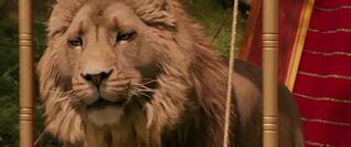 Aslan22.jpg