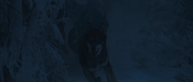 File:Secretpolicewolves.png