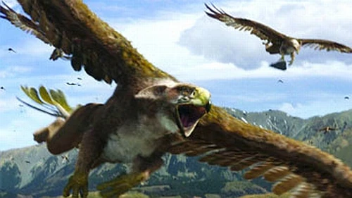 Gryphon The Chronicles of Narnia Wiki FANDOM powered