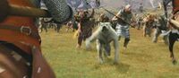 Narnia Werewolf
