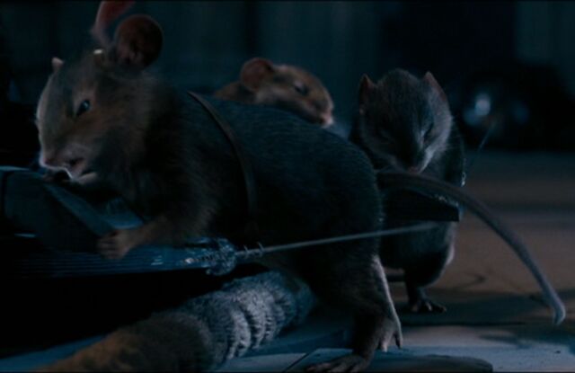 File:Reepicheep4.jpg