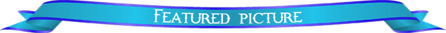 File:FP-header.png
