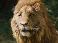 Aslan1.jpg