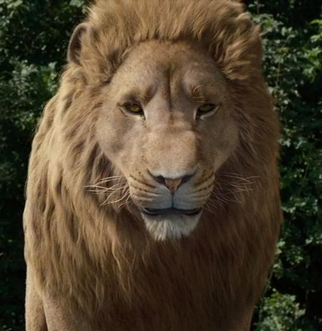 File:Vlcsnap-321248.png