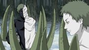 WhiteandBlackZetsu
