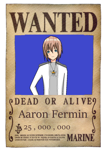 File:Aaron's wanted poster.png