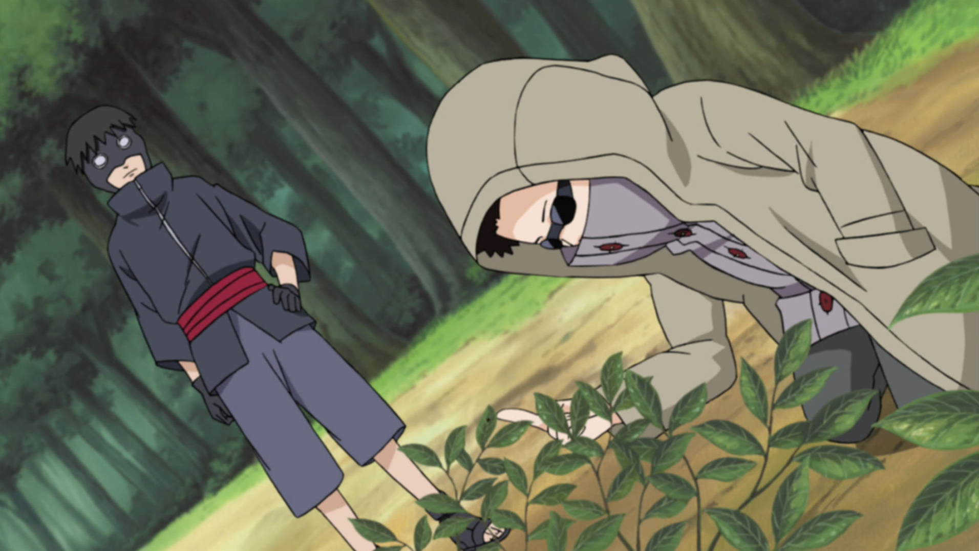 image-young-torune-shino-png-narutopedia-fandom-powered-by-wikia