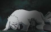 Akamaru enloquecido.jpg