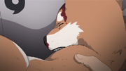 Shiro's death