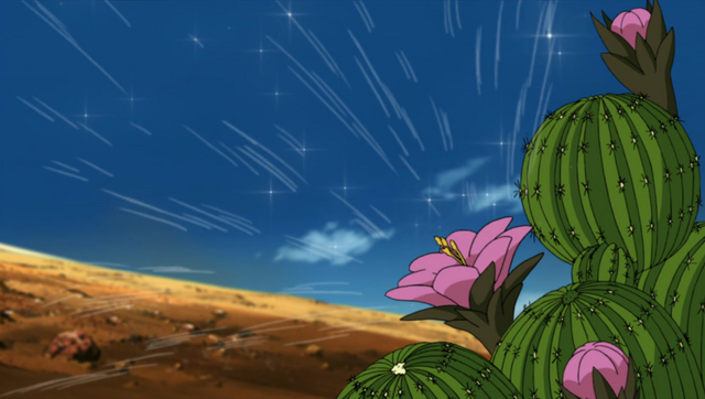 File:Cactus Genjutsu.png