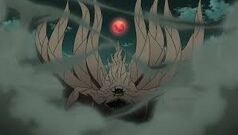 10tailed.jpg