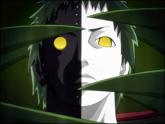 Zetsu by boing paradise.jpg
