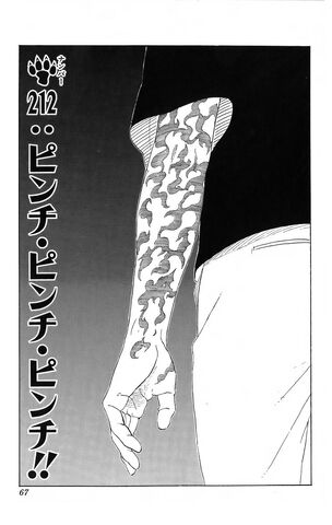 File:Chapter 212.jpg