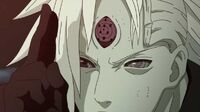 Rinne.jpg