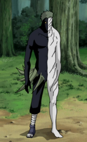 BZetsufull.png