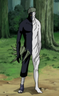 BZetsufull.png