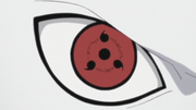 Shin's sharingan