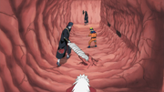 Art Ninja Estomac du Crapaud.png