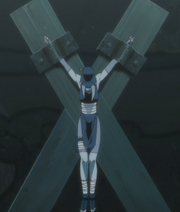 Pakura Cross.png