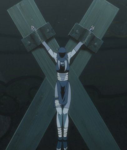 File:Pakura Cross.png