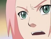 Sakura 02.jpg