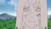 Shin se desfazendo.png