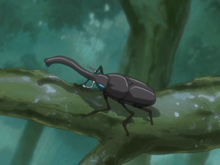 Bikōchū.png