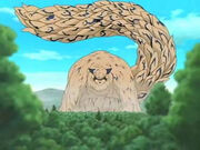 1tailed.jpg