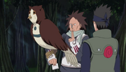 Buho motoi.png