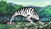 Koshi Tandan.png