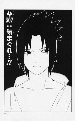 File:Chapter 307.jpg