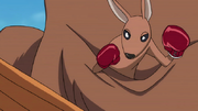 Pequeño Canguro.png