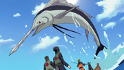 Giant Marlin 2