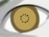 Zetsu akis.jpg