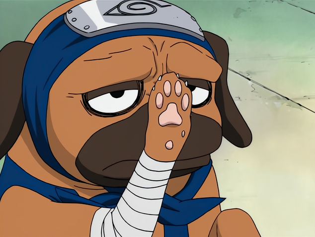 File:Pakkun's paw.png