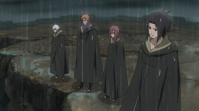 File:Team Hawk.png