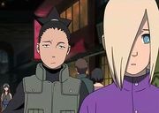 Shikainortn